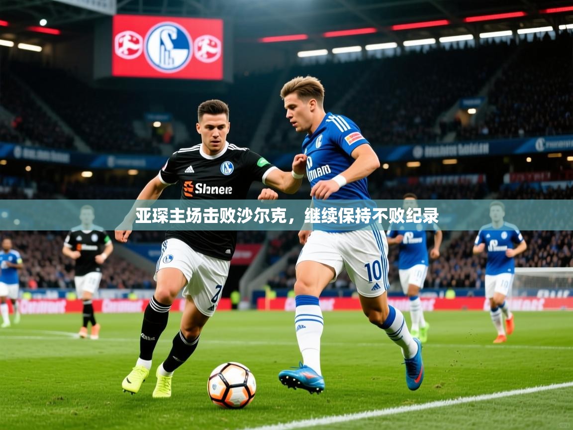 亚琛主场击败沙尔克,继续保持不败纪录 亚琛主场击败沙尔克,继续保持不败纪录