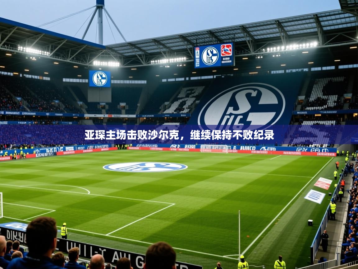 亚琛主场击败沙尔克,继续保持不败纪录 亚琛主场击败沙尔克,继续保持不败纪录