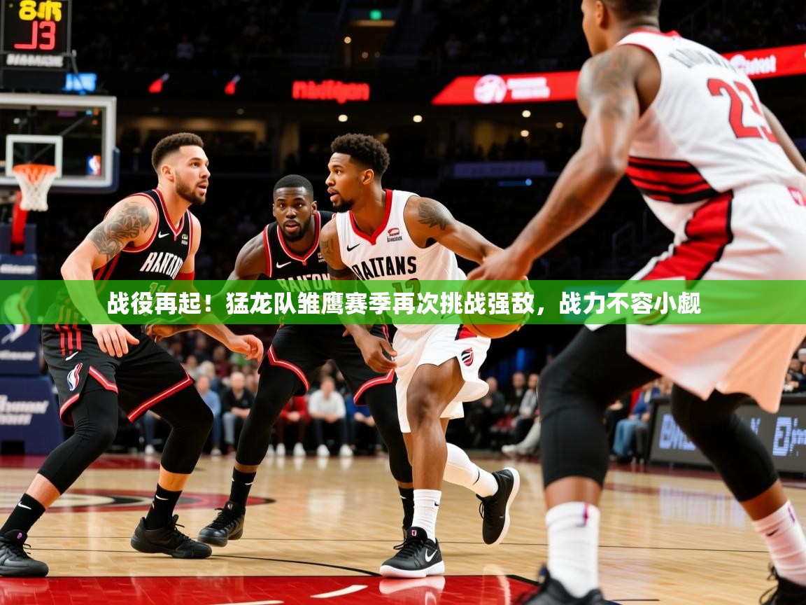 战役再起！猛龙队雏鹰赛季再次挑战强敌，战力不容小觑